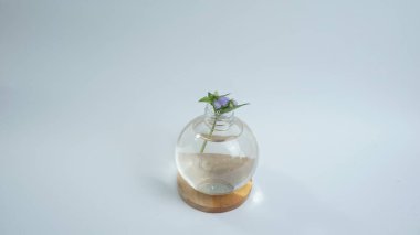 Masa Dekorasyonu İçin Suyla Açık Şişe İçinde Çiçekler