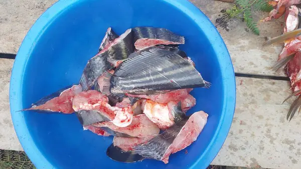 Pişirmek için Taze Balık Kesen Kadınlar