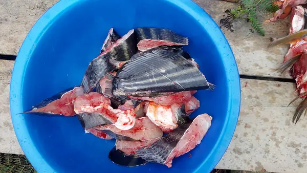 Pişirmek için Taze Balık Kesen Kadınlar