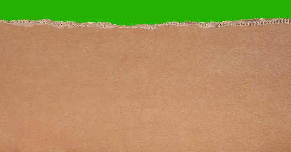 Green screen cardboard texture background. Old vintage brown paper box surface.