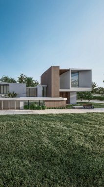 Mimari 3D, doğal manzaralı minimal modern evin tasviri