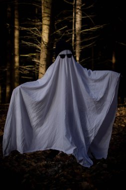 Beyaz çarşaflı, gözlüklü ve hayalet şeklinde şapkalı bir çocuk.