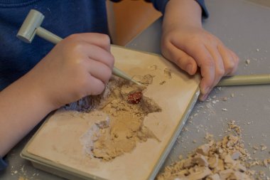 A child with the help of a geologist's kit extracts a jasper in a plaster cast