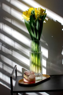 Bouquet of yellow daffodils in a glass vase in an unusual shade