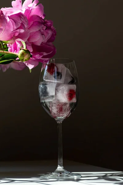 Glaçons Congelés Aux Fruits Dans Verre Vin — Photo