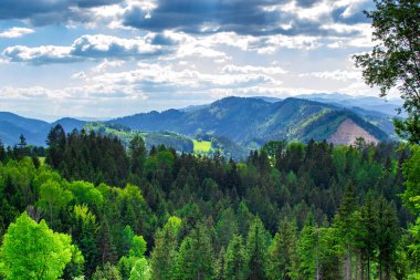 Bulutlu gökyüzüne karşı yeşil ormanlarla kaplı dağların manzarası.