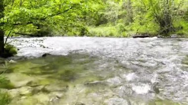 Dağların arka planında yeşil ormanlı bir dağlık nehir..