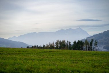 Dağların arka planında taze yeşil çayırlar olan Alpler 'deki Idyllic manzara.
