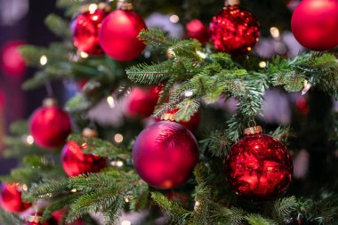 Yeşil suni köknar dalları kırmızı toplarla süslenmiş..