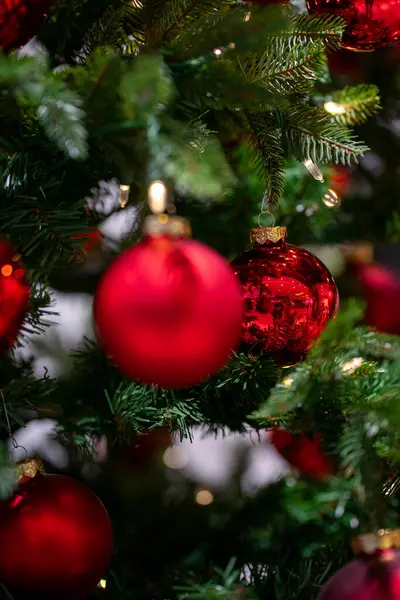 Yeşil suni köknar dalları kırmızı toplarla süslenmiş..