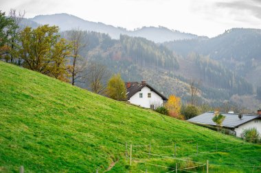 Dağların arka planında taze yeşil çayırlar olan Alpler 'deki Idyllic manzara.