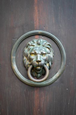 Aslan şeklinde bir sokak kapısı kulpu görüntüsü.