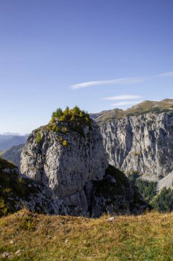 Dağlarda tepesinde köknar ağaçları olan küçük bir kaya manzarası.