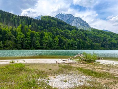 Yeşil ormanlarla kaplı dağların arka planında taşan göl manzarası