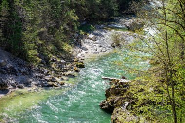 Güneşli bir günde Avusturya Alpleri arasında sık bir ormanın ortasındaki küçük bir dağ nehri.
