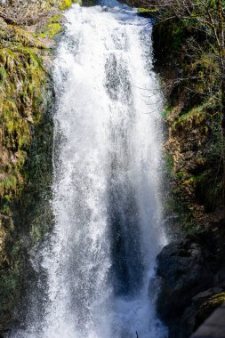 Avusturya 'nın Styria kentindeki Alp Dağları arasında küçük bir şelale manzarası.
