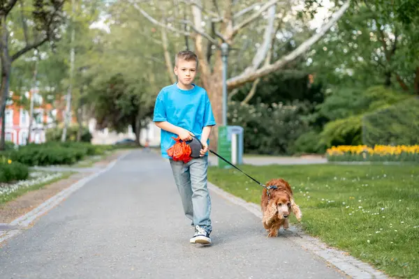 Mavi tişörtlü bir çocuk köpeğiyle birlikte şehir parkındaki bir sokakta yürüyor.