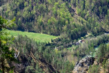 Avusturya Alplerinde güneşli bir günde küçük bir dağ vadisi ve bir dağ nehri manzarası.