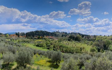 İtalya, Floransa 'daki selvi ve zeytin ağaçlarıyla dolu tipik Toskana tepecikli manzara.