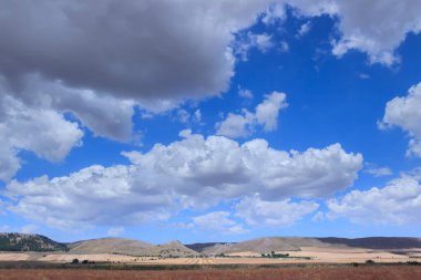 Alta Murgia Ulusal Parkı: Puglia, İtalya 'da hasat edilen buğday tarlası. Geniş tarlaları ve kayalık çıkıntıları olan bir kireçtaşı yaylası, koyun yollarıyla karakterize edilen çayırlar, mercimek bitkisi çalıları..