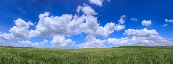 Hilly Τοπίο Τον Τομέα Του Καλαμποκιού Ανώριμος Κυριαρχείται Από Σύννεφα Φωτογραφία Αρχείου