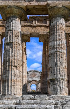 İtalya 'daki Paestum' daki Neptün Tapınağı: Doric sütunlarının ayrıntıları.