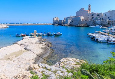 İtalya 'nın Apulia kentindeki Giovinazzo eski kenti: Santa Maria Assunta Katedrali ile resiften liman manzarası.