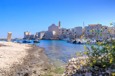 İtalya 'nın Apulia kentindeki Giovinazzo eski kenti: Santa Maria Assunta Katedrali ile resiften liman manzarası.