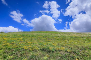İlkbahar: Mavi gökyüzü ve bulutların hakim olduğu çayırlık tepe.