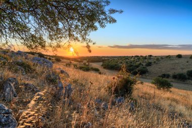 İtalya 'nın Apulia şehrinde yaz mevsimi manzarası: Alta Murgia Ulusal Parkı manzarası.