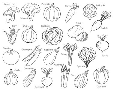 Karalama biçiminde el çizimi sebze seti, vektör çizimi