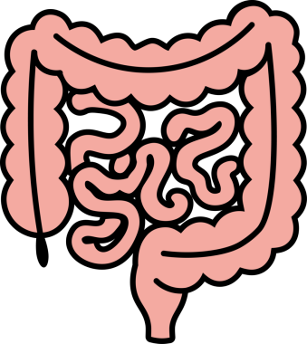 Çizgi film Bağırsak Simgesi İllüstrasyonu