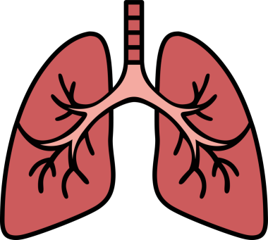 İnsan akciğerleri simgesi illüstrasyonu