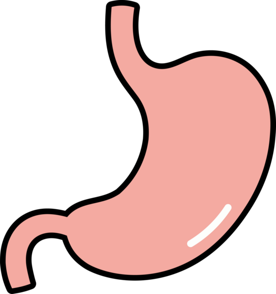 Çizgi film Mide Simgesi İllüstrasyonu