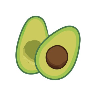 Avocado Hand Drawing Vector Illustration