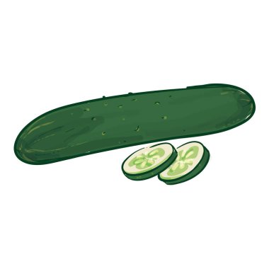 Cucumber Hand Drawing Vector Illustration