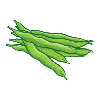 Fransız Fasulye Eli Çizim Vektörü İllüstrasyonu