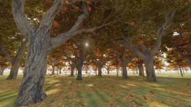 Sonbahar ormanı yaprakları yavaş çekimde dökülüyor.