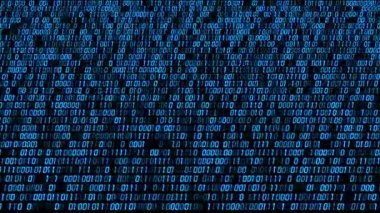 İkili sayı dizgi kodu değiştirme arkaplanı