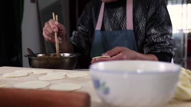 Göra Dumplings Hemma För Kinesiska Nyår — Stockvideo