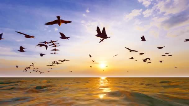 Flock Seagulls Flying Low Sea Sunset — Vídeos de Stock