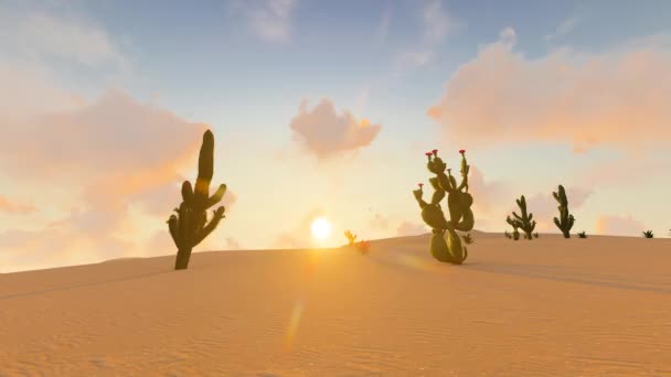 Рослинний Кактус Посушливій Пустелі — стокове відео