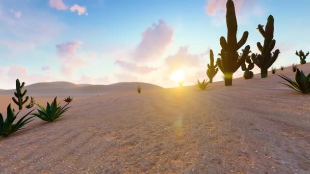 Desert Sunrise Sunset Time Lapse — стоковое видео