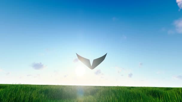 Papierflugzeug Fliegt Über Prärie Und Wiesen Zum Sonnenaufgang Stockvideo