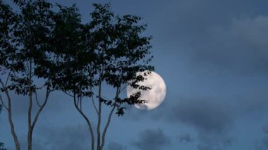 Sonbahar ortası Festivali Ay 'ın hızlandırılmış hava görüntüleri