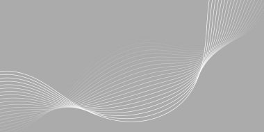 Pankart dalgalarıyla soyut arkaplan. Orta boy pankart. Çizgileri olan vektör arkaplanı. Gri ve beyaz renk. İç mekan. Broşür, kitapçık.