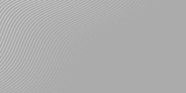 Pankart dalgalarıyla soyut arkaplan. Orta boy pankart. Çizgileri olan vektör arkaplanı. Gri ve beyaz renk. İç mekan. Broşür, kitapçık.