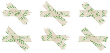 Yarı şeffaf washi bantları ve beyaza izole edilmiş desenler. Kaset toplama vektörü. Albümler için dekoratif kaset parçaları. Yırtık kağıt. Bahar, yaz. Bej ve yeşil