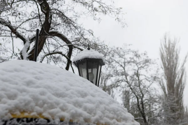 Pouliční Lampy Zimním Zasněženém Parku Stock Obrázky