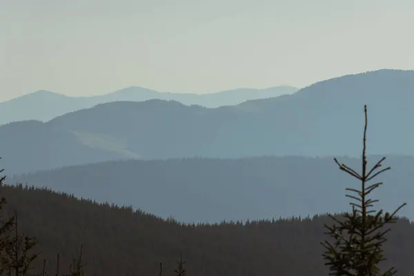 Dağların engebeli güzelliğini kucakla, maceranın vahşi doğanın kalbinde sükunetle buluştuğu yerde..